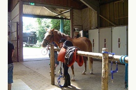 Bungalowpark de Bronzen Emmer Drenthe met paardenstalling en manege VMP019